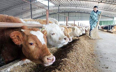 國產(chǎn)牛奶冷藏罐在阿根廷得到廣泛應(yīng)用